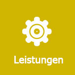 Leistung